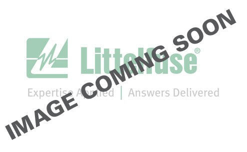 Littelfuse 21802.5P 2.5A, 250V, 218 Series, (Slo-Blow) Littelfuse 21802.5P