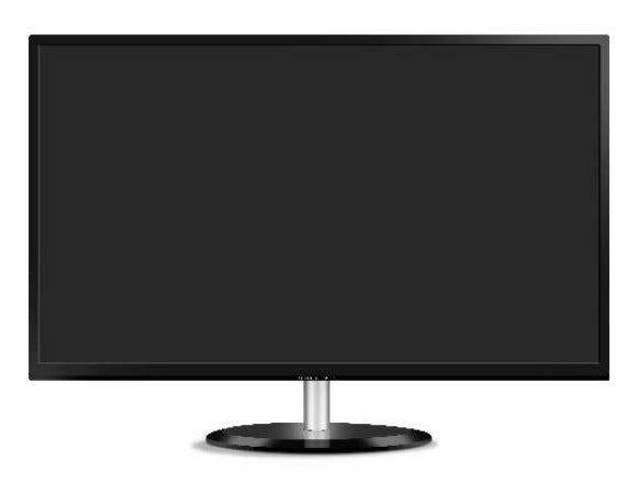 Opticom FSM-19bd LCD Flat Screen Monitor, 19