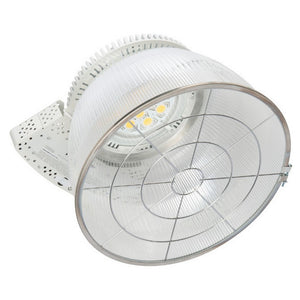 Cree Lighting WG-A Wire Guard Cree Lighting WG-A
